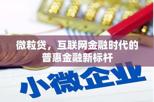 洮南微粒贷，互联网金融时代的普惠金融新标杆