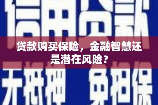 洮南贷款购买保险，金融智慧还是潜在风险？