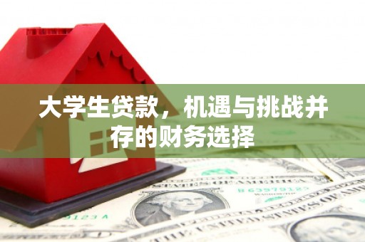 洮南大学生贷款，机遇与挑战并存的财务选择