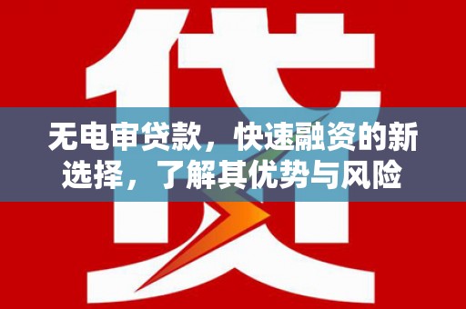 洮南无电审贷款，快速融资的新选择，了解其优势与风险