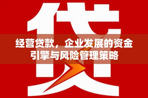 洮南经营贷款，企业发展的资金引擎与风险管理策略