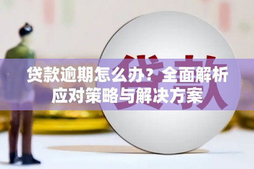 洮南贷款逾期怎么办？全面解析应对策略与解决方案
