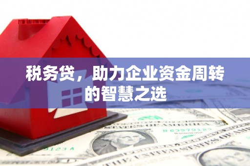 洮南税务贷，助力企业资金周转的智慧之选