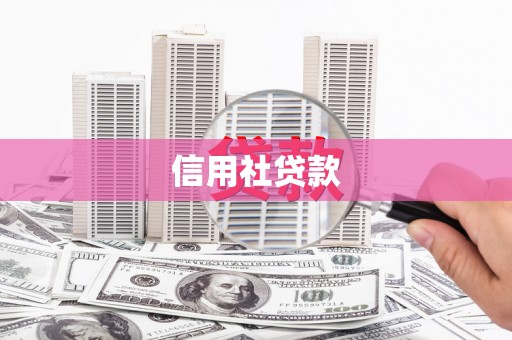 洮南信用社贷款
