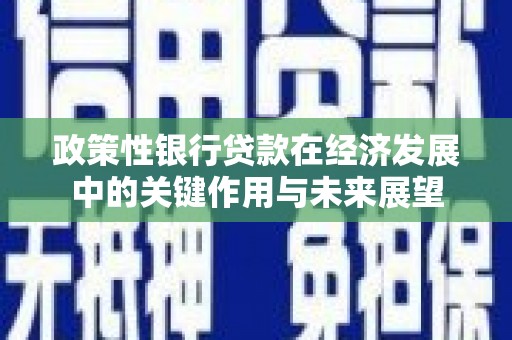 洮南政策性银行贷款在经济发展中的关键作用与未来展望