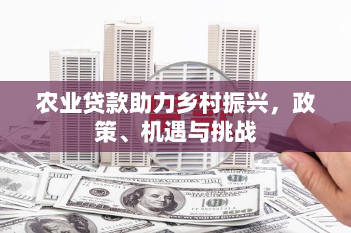 洮南农业贷款助力乡村振兴，政策、机遇与挑战