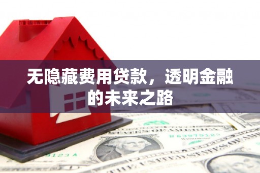 洮南无隐藏费用贷款，透明金融的未来之路