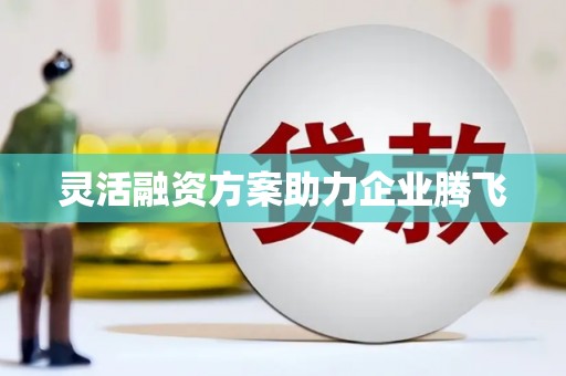 洮南灵活融资方案助力企业腾飞