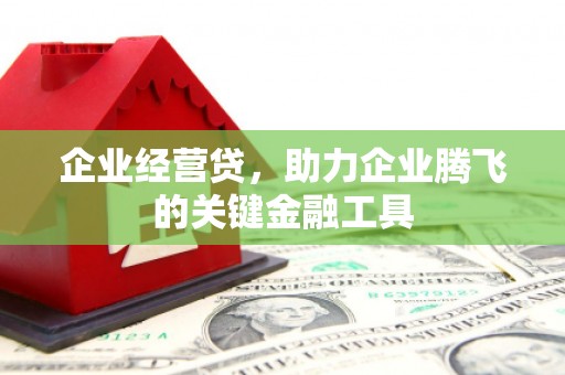 洮南企业经营贷，助力企业腾飞的关键金融工具