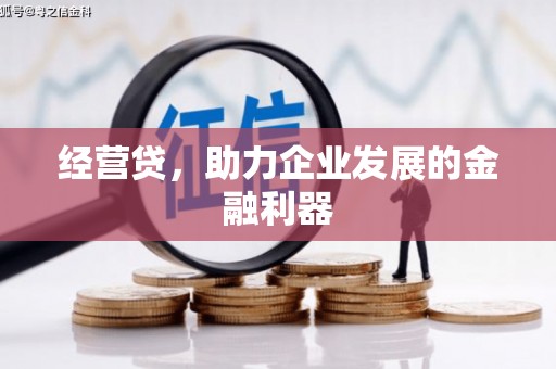 洮南经营贷，助力企业发展的金融利器
