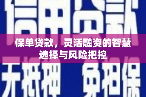洮南保单贷款，灵活融资的智慧选择与风险把控