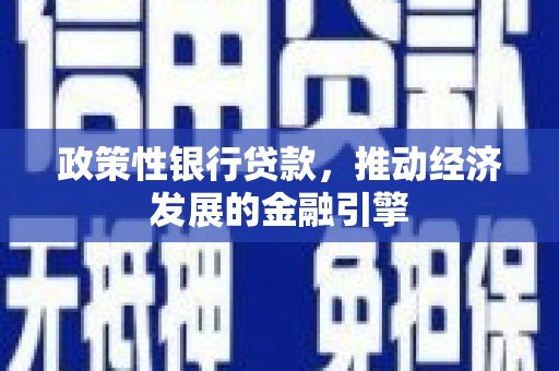 洮南政策性银行贷款，推动经济发展的金融引擎