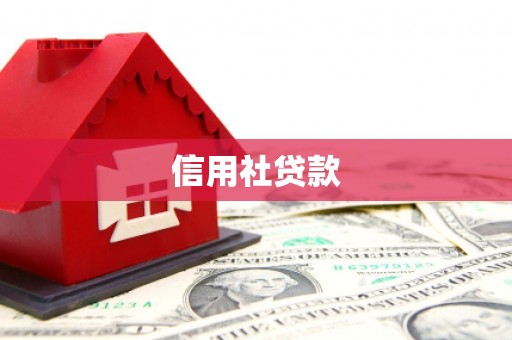 洮南信用社贷款