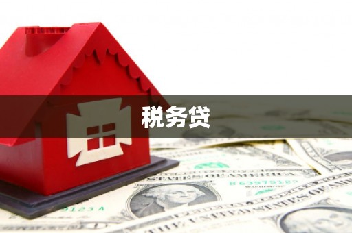 洮南税务贷