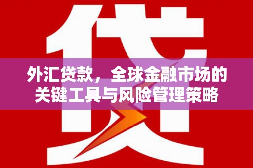 洮南外汇贷款，全球金融市场的关键工具与风险管理策略