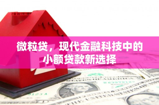 洮南微粒贷，现代金融科技中的小额贷款新选择
