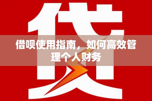洮南借呗使用指南，如何高效管理个人财务