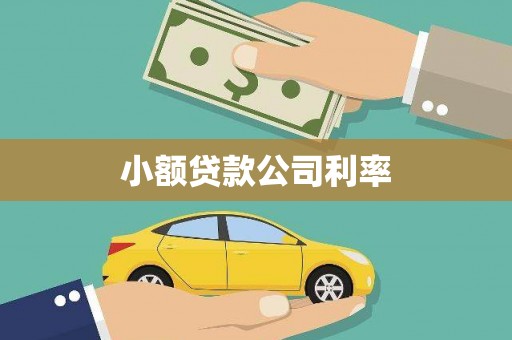 洮南小额贷款公司利率