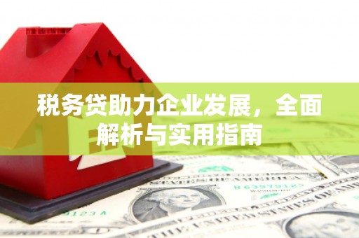 洮南税务贷助力企业发展，全面解析与实用指南