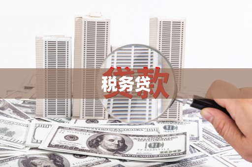 洮南税务贷