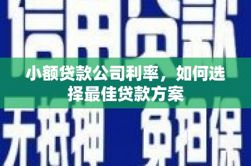 洮南小额贷款公司利率，如何选择最佳贷款方案