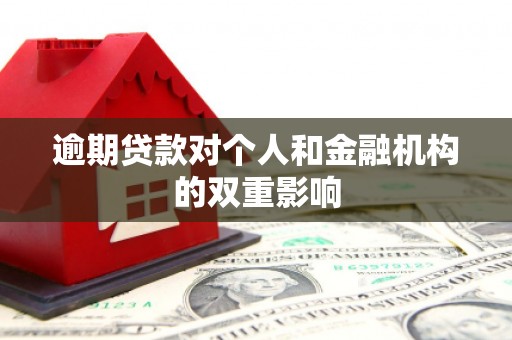 洮南逾期贷款对个人和金融机构的双重影响