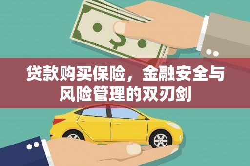 洮南贷款购买保险，金融安全与风险管理的双刃剑
