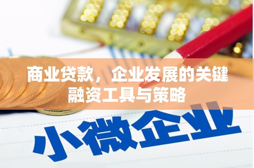洮南商业贷款，企业发展的关键融资工具与策略