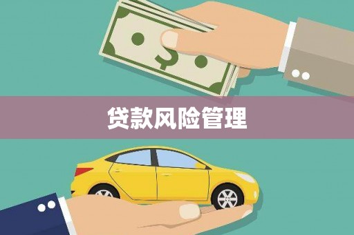 洮南贷款风险管理