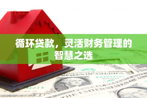 洮南循环贷款，灵活财务管理的智慧之选