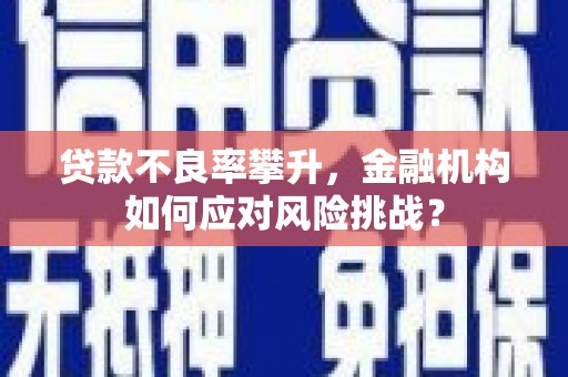 洮南贷款不良率攀升，金融机构如何应对风险挑战？