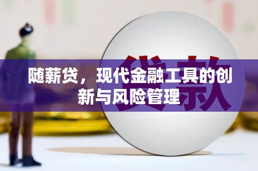 洮南随薪贷，现代金融工具的创新与风险管理