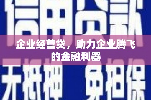 洮南企业经营贷，助力企业腾飞的金融利器