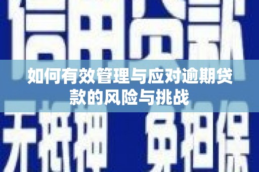 洮南如何有效管理与应对逾期贷款的风险与挑战
