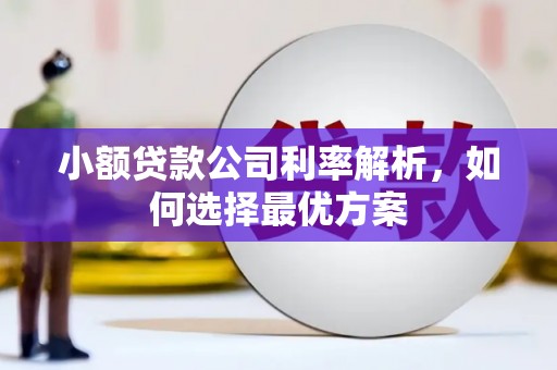 洮南小额贷款公司利率解析，如何选择最优方案