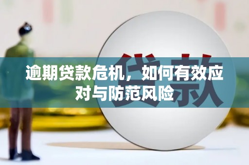 洮南逾期贷款危机，如何有效应对与防范风险
