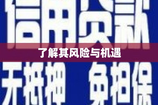 洮南了解其风险与机遇