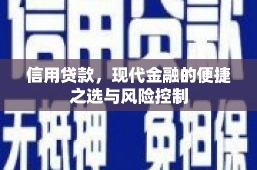 洮南信用贷款，现代金融的便捷之选与风险控制