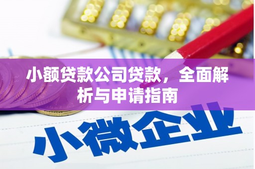 洮南小额贷款公司贷款，全面解析与申请指南