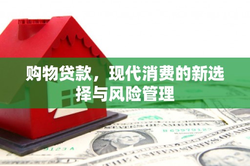 洮南购物贷款，现代消费的新选择与风险管理