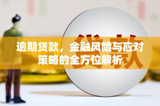 洮南逾期贷款，金融风险与应对策略的全方位解析