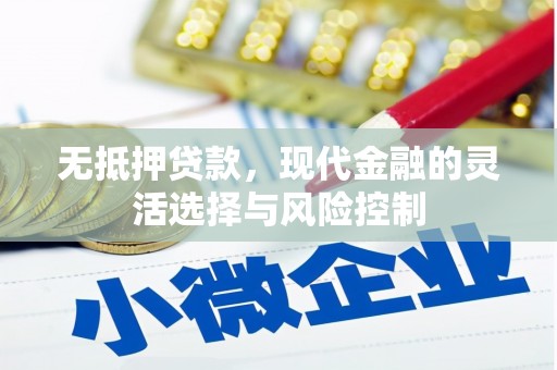 洮南无抵押贷款，现代金融的灵活选择与风险控制