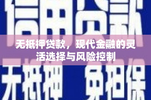 洮南无抵押贷款，现代金融的灵活选择与风险控制