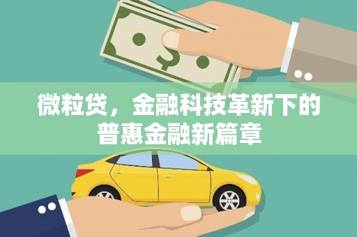 洮南微粒贷，金融科技革新下的普惠金融新篇章