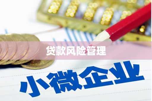 洮南贷款风险管理