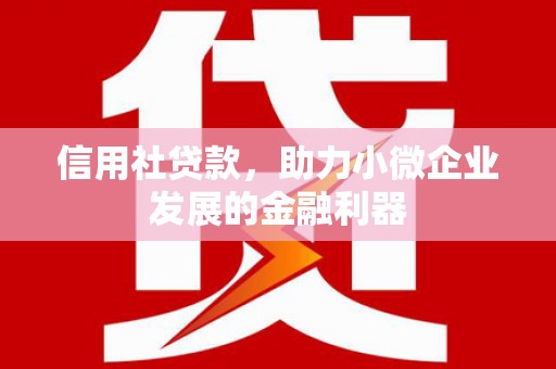 洮南信用社贷款，助力小微企业发展的金融利器