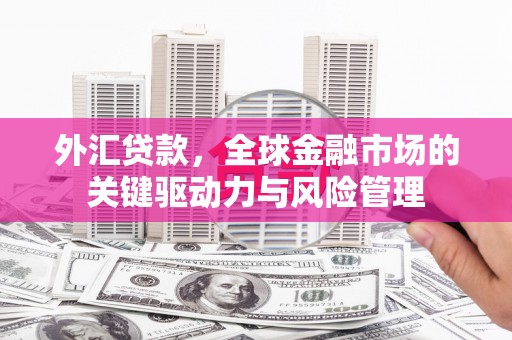 洮南外汇贷款，全球金融市场的关键驱动力与风险管理