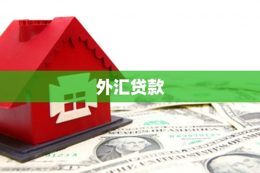 洮南外汇贷款