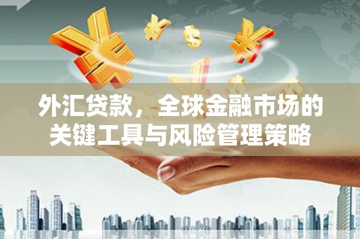 洮南外汇贷款，全球金融市场的关键工具与风险管理策略