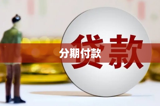 洮南分期付款